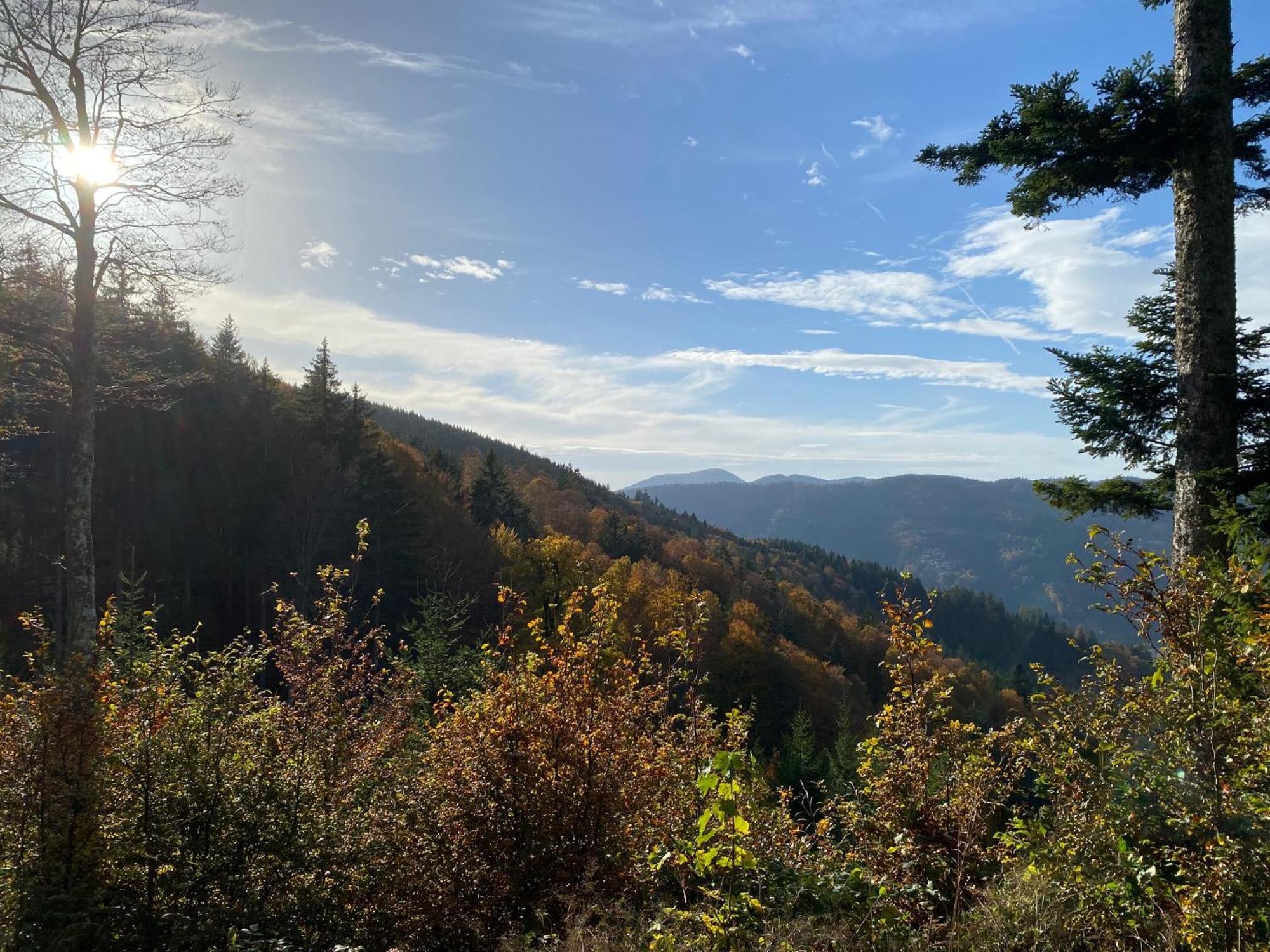Hotel Waldeck In Todtnau Zewnętrze zdjęcie