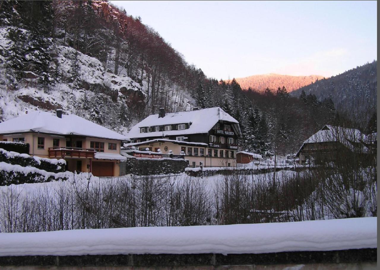 Hotel Waldeck In Todtnau Zewnętrze zdjęcie